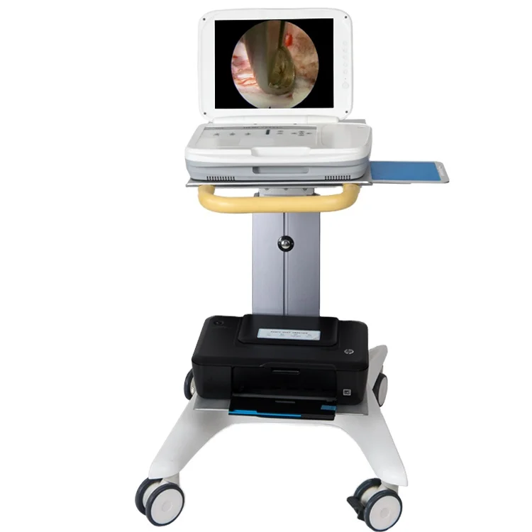 Medical Lab Diagnostics - YKD-9003 Full HD Integrated Portable Endoscope