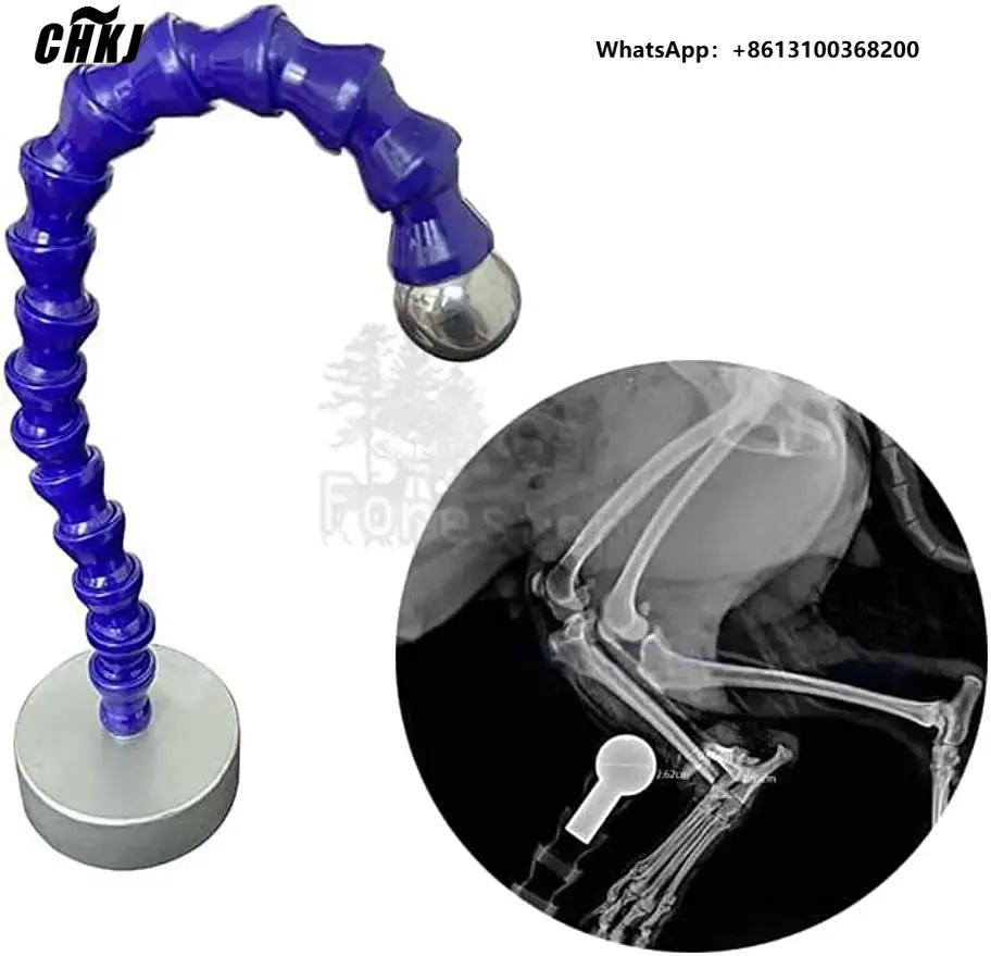 Veterinary X-Ray - X Ray Reference Ball Radiographic Orthopedic