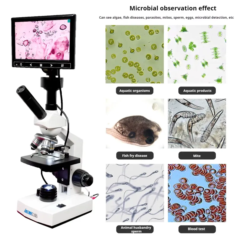 WEIAI Selling HD Screen LED Li - Medical Lab Microscope review and price