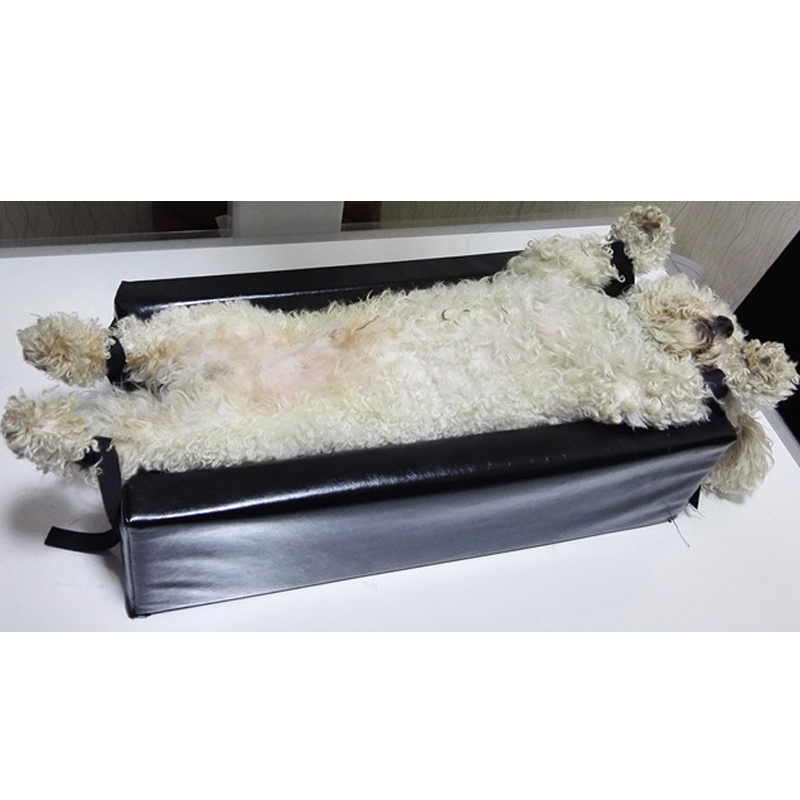 Small Size    Animal Xray Mach - Veterinary X-Ray review and price