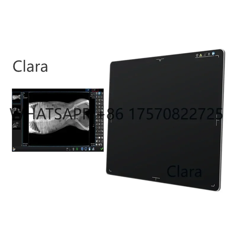 17*17 Flat Panel Detector Vete - Veterinary X-Ray review and price